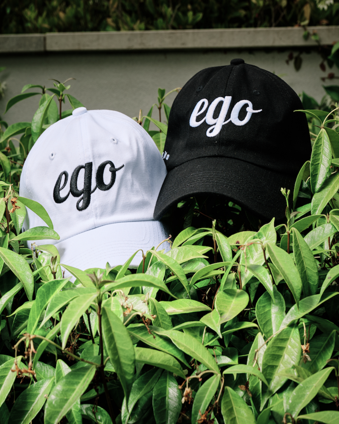 Freud Adjustable Cap